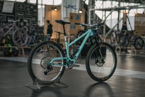 Am Heck steht den 140 mm Federweg eine Cane Creek Double Carrel IL-Dämpfer zur Seite