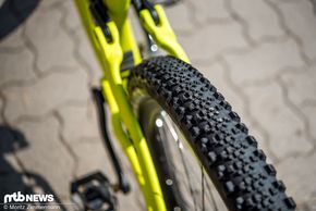 Der Maxxis Minion Semislick bot nicht ausreichend Bremstraktion und wurde im Testverlauf ausgetauscht.