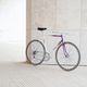 Giant Peloton Lite
