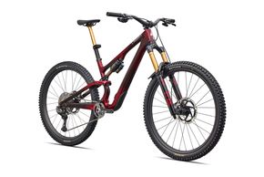 Early Adopter müssen zur S-Works-Version mit Shimano XTR Di2-Schaltung greifen.
