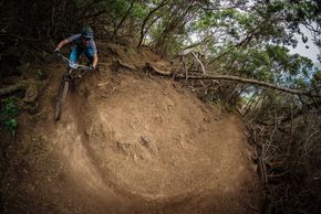 2277621-rehtwzgqdmz2-transmadeira18 day1 09833-original