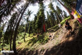 Man weiß, dass es verdammt steil zur Sache geht, wenn die Wanderstöcke beim Track Walk nicht nur genutzt werden, um fachmännisch auf Wurzeln zu zeigen
