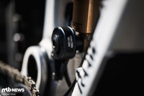Über austauschbare Dämpferaufnahmen kann man die Geometrie und Progression des Trail-Flitzers variieren.
