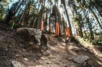 Downhill World Cup 2025 – Andorra: Die Final-Ergebnisse
