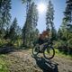 Giant-Explore-E-Test Nimms-Rad-8