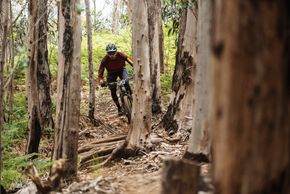 Während der fünftägigen Trans Madeira legten wir auf dem Nukeproof Mega 275c RS nicht nur über 250 km und Abertausende von Höhenmetern zurück, sondern fuhren auch insgesamt 29 verschiedene Trails.