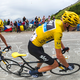 panorama-froome bildwelt