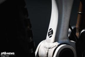 Raaw-Jibb-1100