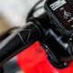 MTBNews