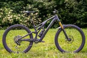 Die Twins vertrauen auf das Specialized Stumpjumper Evo S-Works 29.