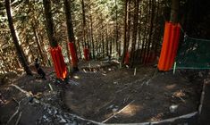 Titelbild für Artikel: Downhill-WM 2025 – Champéry: Ergebnisse Qualifikation