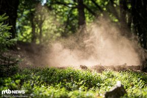 whyte-s150-action-6988