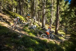Mit der ganzen Family auf Biketour