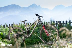 Bikepark-Ticket übrig, Boxxer und etwas Zeit zufällig noch mit dabei? Extrarunden zum Vertiefen des Testeindrucks sind angesagt