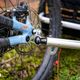 Veolo-Hundeanhänger-Test Nimms-Rad-52