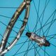 2474601-jdubv26f7xjz-foto jens staudt newmen carbon mtb 4694-original