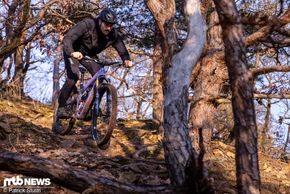 Das Ibis HD6 Enduro Bike taugt trefflich als Allzweckwaffe