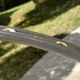 IMG 20220921 125246383 HDR
