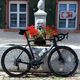DBike U7