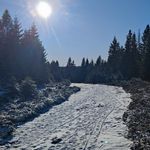 Foto einer Winterpokal-Aktivität