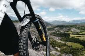 Schwalbe Albert