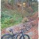 Fatbike