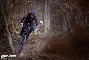 Schon sehr schnell zeigt sich, dass die TRP Evo Pro genug Bremspower hat, um das Cannondale Moterra LT zum stehen zu bringen