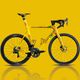 Das Giant Propel in der Vincent van Gogh Edition war für 19.500 € erhältlich.
