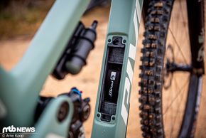 Pivot Trailcat--21