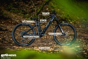 Scott Ransom eRide 910 mit Geometrieangaben Rahmengröße L