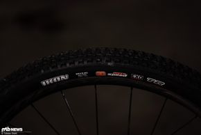 Am Hinterrad sorgt ein flacher profilierter Maxxis Ikon für Traktion