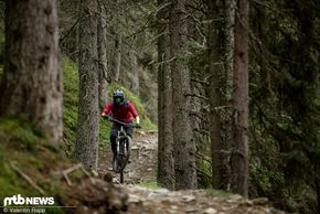 Specialized Stumpjumper Evo-300
