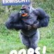 WURZELBEHANDLUNG ZU OSTERN.