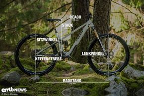 Pivot Shuttle SL Geometrieangaben Rahmengröße L