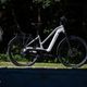 Giant-Explore-E-Test Nimms-Rad-11