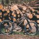 Einfach eine schicke Kiste, Trail-Hardtails sind offensichtlich weiter im Kommen
