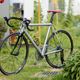 Red Bull Pro SL