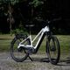 Giant-Explore-E-Test Nimms-Rad-14