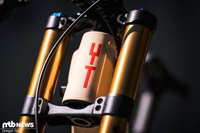 YT-Tues-Kolb-1373