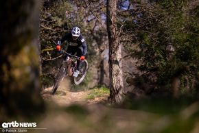 Haibike ALLMTN CF 11 TRN/IQ mit Pinion MGU