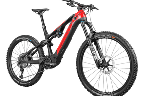 Rotwild R.X750 Pro