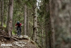 Specialized Stumpjumper Evo-308