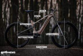 Haibike ALLMTN CF TRN/IQ mit Geometrieangaben in Rahmengröße L.