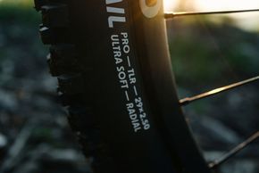 Schwalbe albert radial finale 04