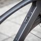 Trek Roadbike 2016-19