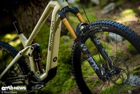 Viel Bling Bling mit dabei am Ultimate-Modell