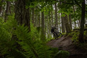 Auf meinem Testbike in Größe S5 habe ich mich ab dem ersten Meter Trail wohl gefühlt.
