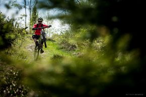 Willingen-734