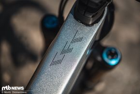 canyon-strive-produkt-3411
