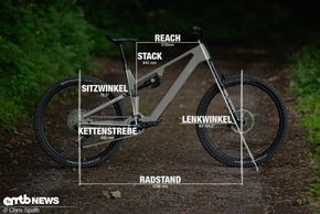 Rose File Plus mit Geometrieangaben in Rahmengroesse XL